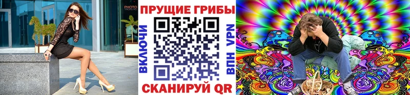 цены   Чёрмоз  Галлюциногенные грибы Psilocybine cubensis 